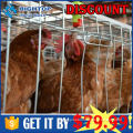 Hot sale china suppiler Galvanization Chicken Cage of Poultry Farm